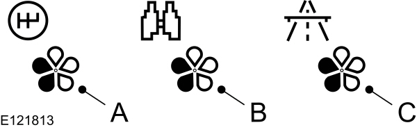 Image Shown Without Description