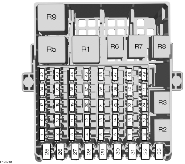 Image Shown Without Description