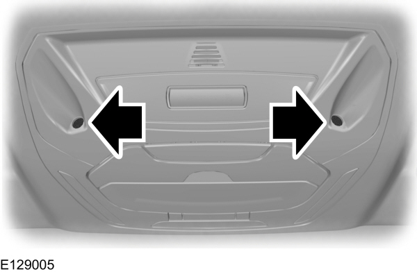 Image Shown Without Description