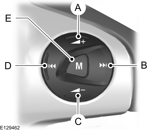 Steering Wheel - Audio Control Buttons
