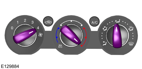 Image Shown Without Description