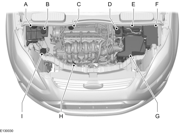 Image Shown Without Description