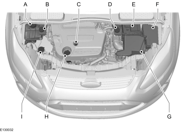 Image Shown Without Description