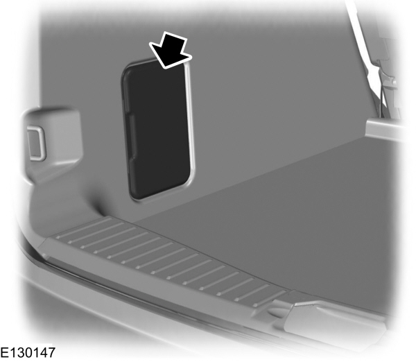Image Shown Without Description