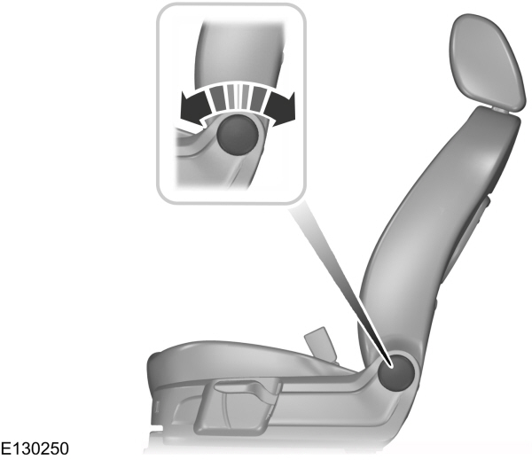 Image Shown Without Description