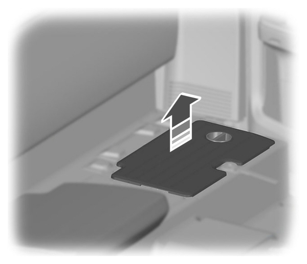 Image Shown Without Description