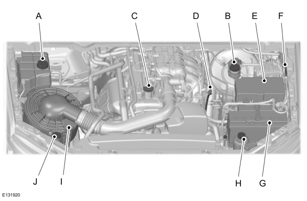 Image Shown Without Description