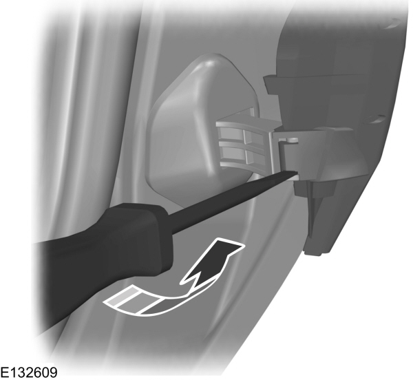 Image Shown Without Description