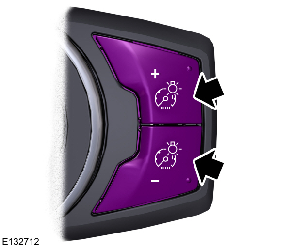 Image Shown Without Description