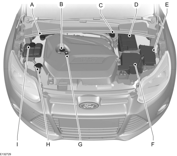 Image Shown Without Description