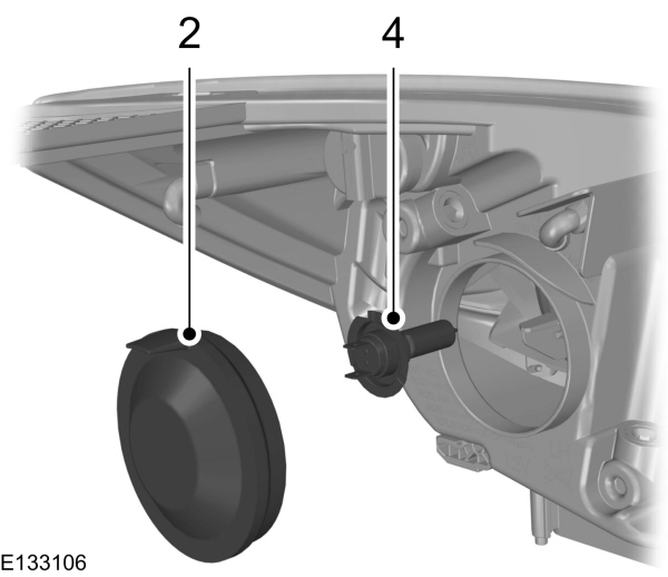 Image Shown Without Description