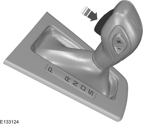 Image Shown Without Description