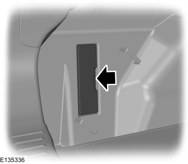 Image Shown Without Description