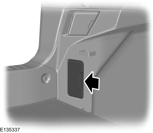 Image Shown Without Description