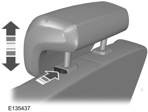 Image Shown Without Description