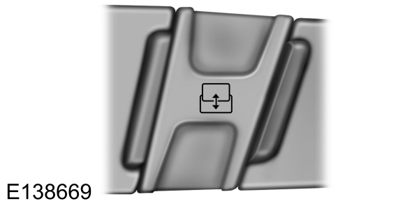 Image Shown Without Description