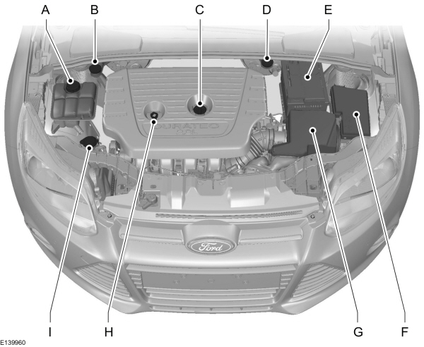 Image Shown Without Description