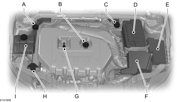 Image Shown Without Description