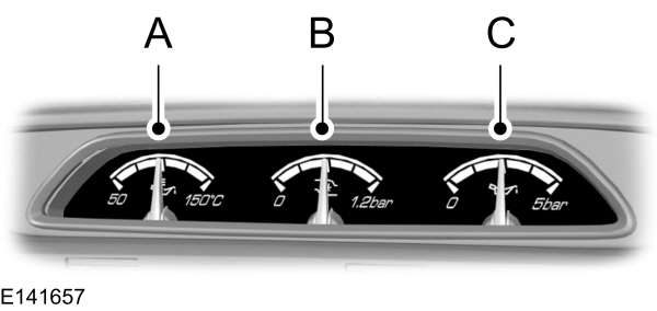 Image Shown Without Description