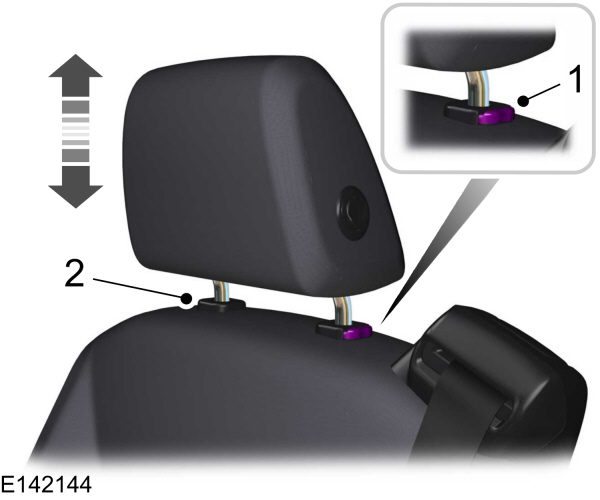 Image Shown Without Description