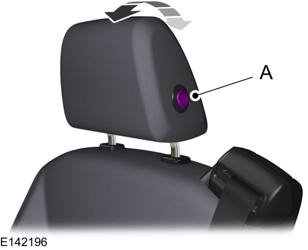 Image Shown Without Description