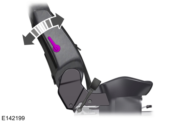 Image Shown Without Description