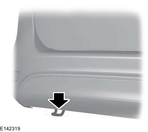 Image Shown Without Description