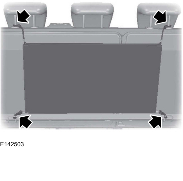 Image Shown Without Description