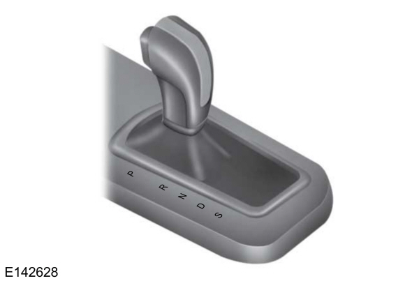 Image Shown Without Description