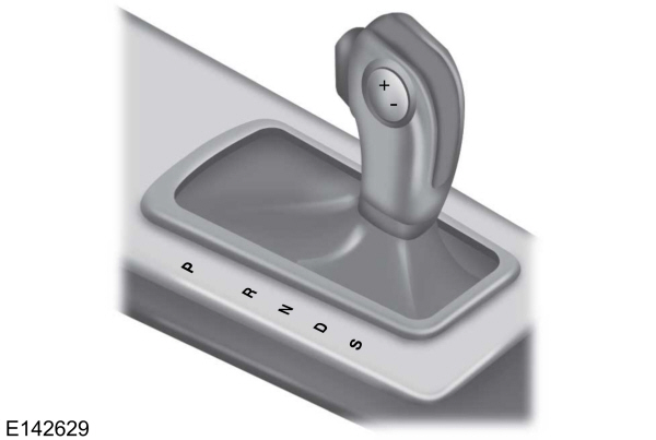 Image Shown Without Description