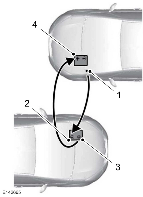 Image Shown Without Description