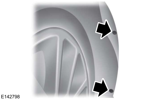 Fog Lamp Bulb Shield