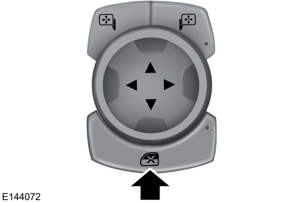 Image Shown Without Description
