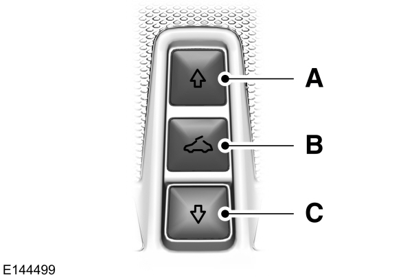 Image Shown Without Description