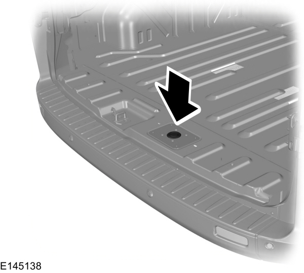 Image Shown Without Description