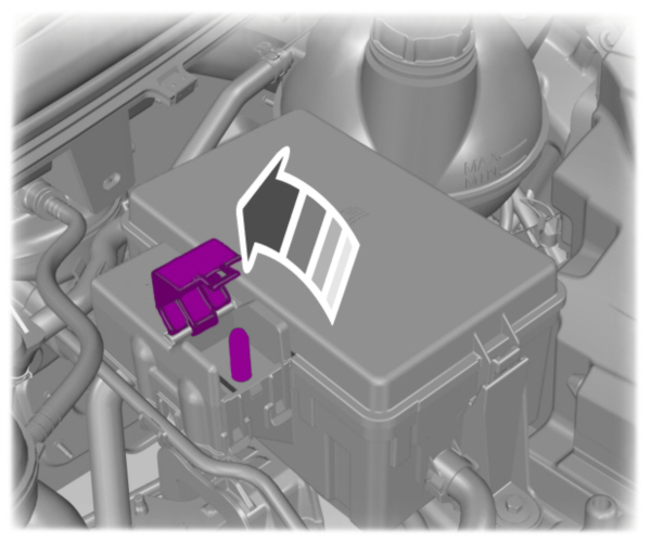 Image Shown Without Description