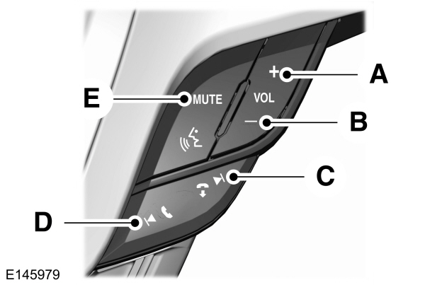 Image Shown Without Description