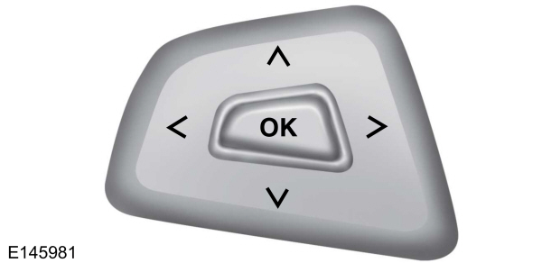 Information Display Buttons