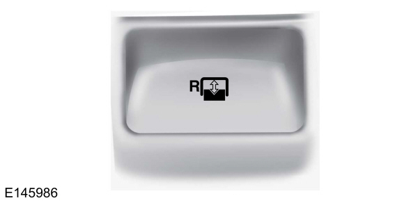 Image Shown Without Description