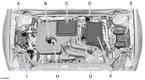 Image Shown Without Description
