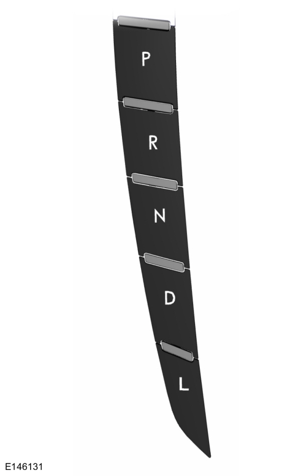 Image Shown Without Description