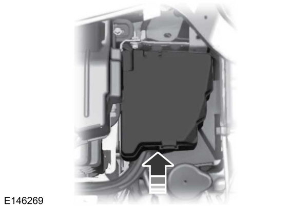 Image Shown Without Description