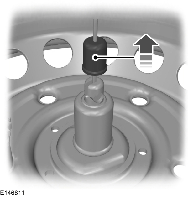 Image Shown Without Description