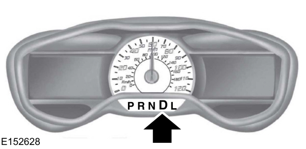 Image Shown Without Description