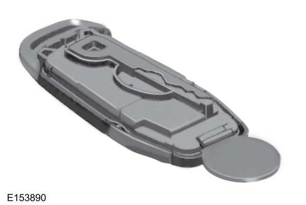 Intelligent Access Battery with Coin