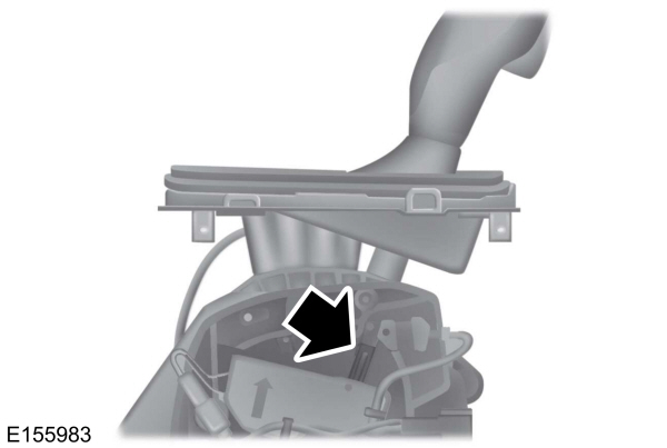 Image Shown Without Description