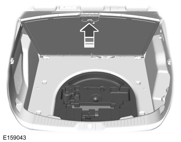 Image Shown Without Description