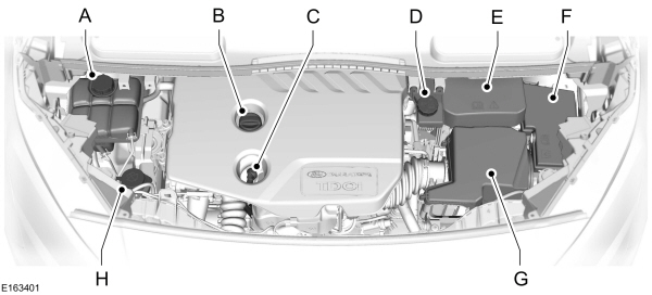 Image Shown Without Description