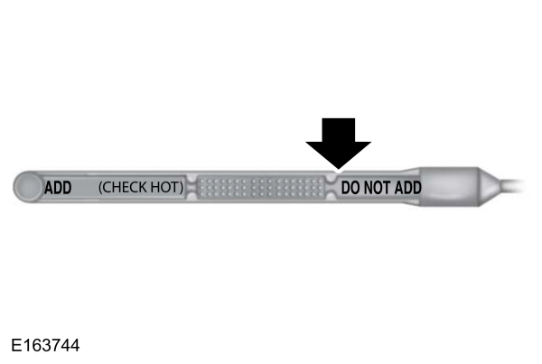 Check the Fluid Level - High Mark