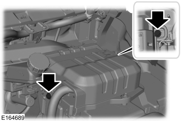 Image Shown Without Description